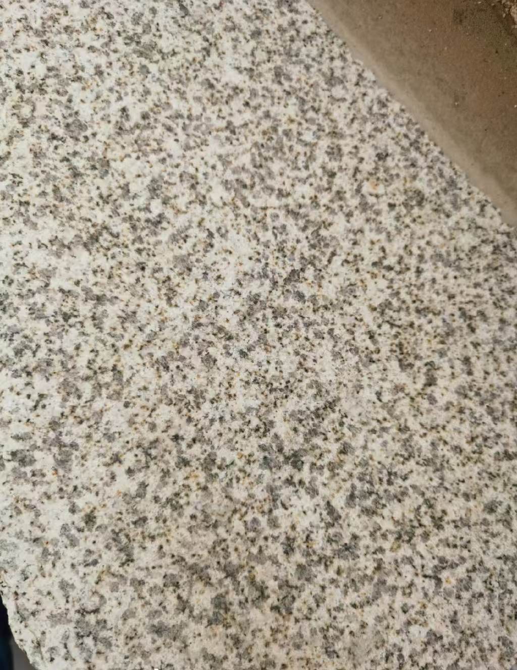 忻州 黄金麻中黄光面