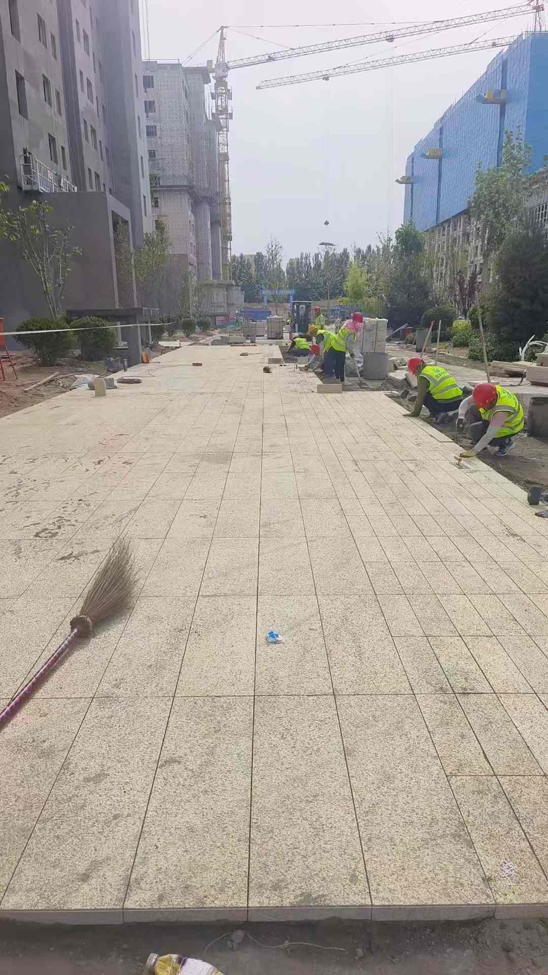 忻州黄金麻荔枝面地铺案例