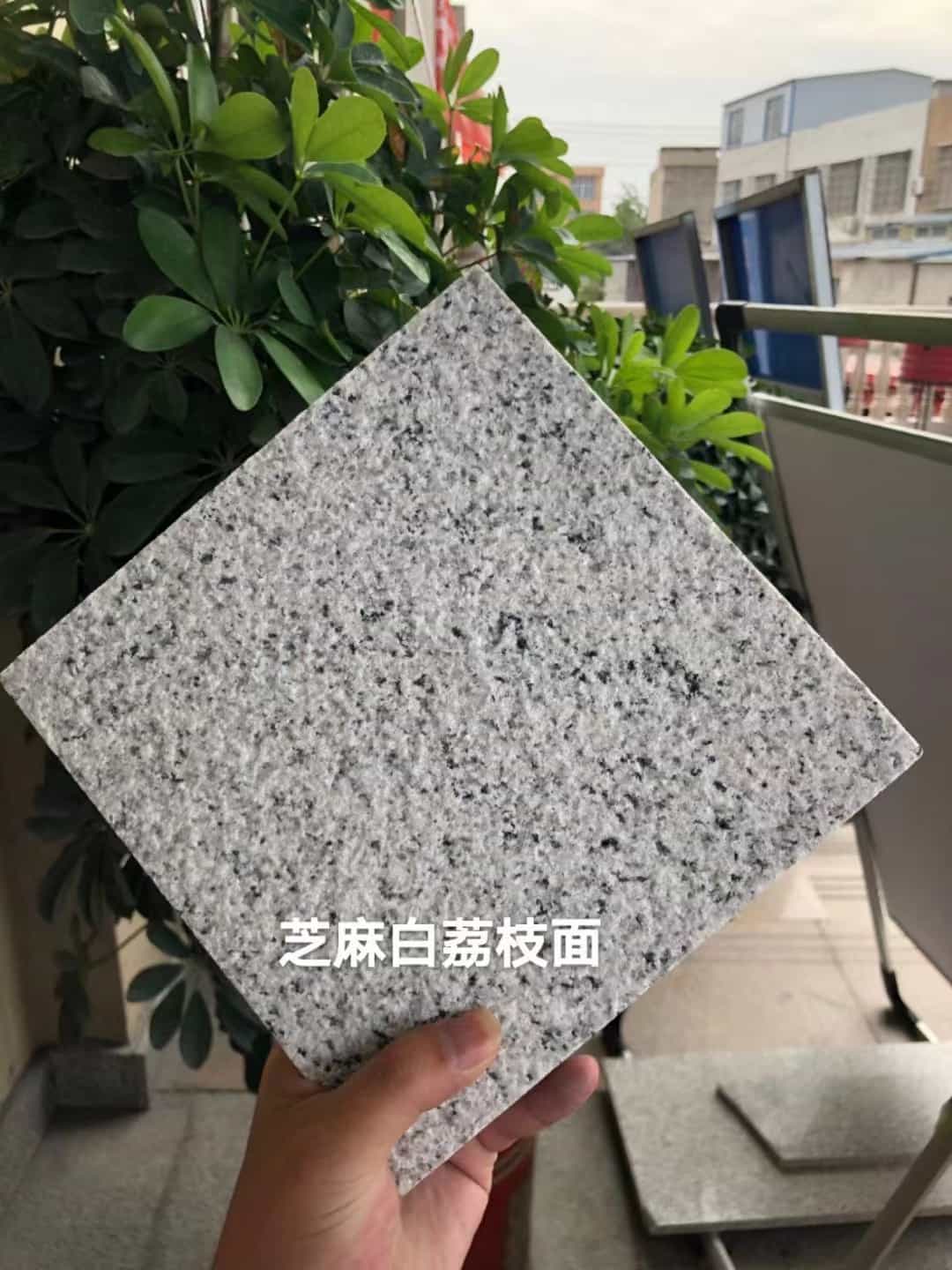 忻州 芝麻白荔枝面干挂